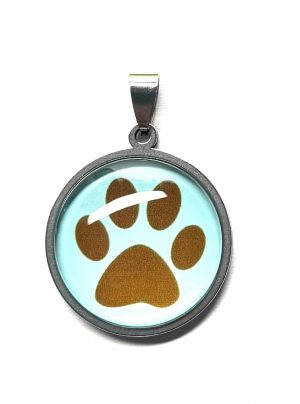 Cabochon & Stainless Steel